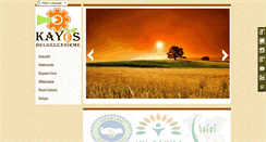 Desktop Screenshot of kayos.com.tr